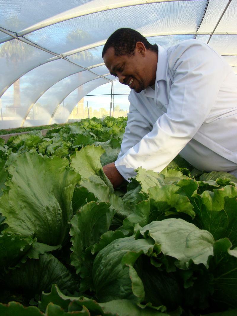 Kalahari Farmhouse, Namibia 호텔 마리엔탈 외부 사진